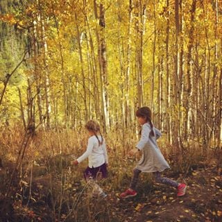 Blossom & Root discount code